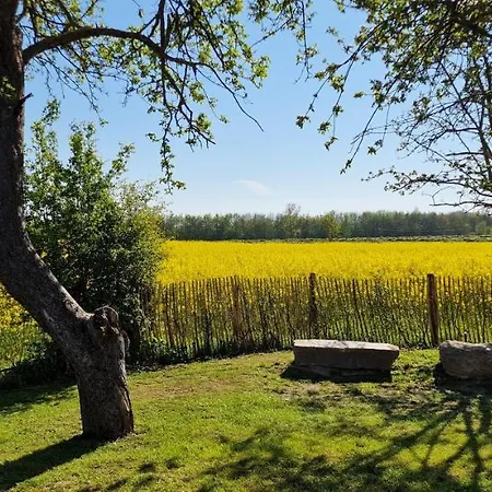 „appelboom“ - Hof Mühlenkoppel Hasselberg (Schleswig-Holstein)