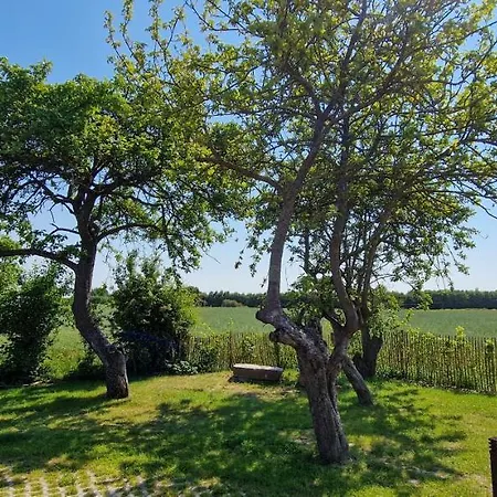 „appelboom“ - Hof Mühlenkoppel Apartment Hasselberg (Schleswig-Holstein)